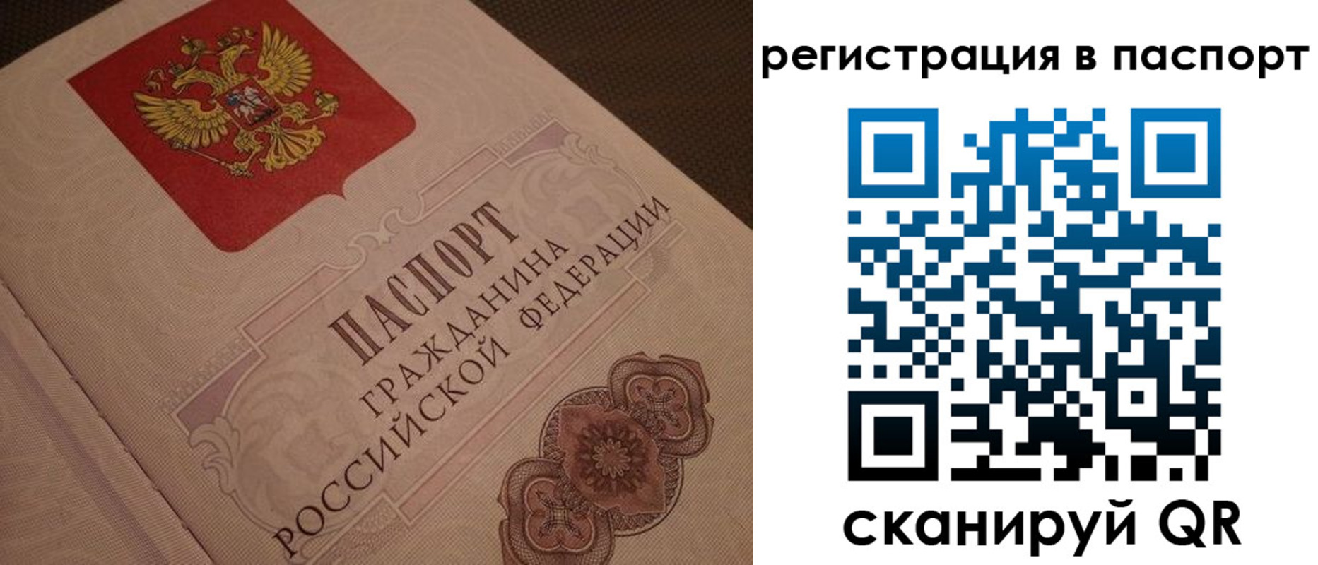 временная регистрация надежно в Балтийске